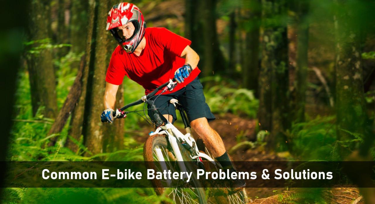E-bike Battery Problems, Solutions, and Simple Troubleshooting Guide ... E-bike Battery Problems, Solutions, and Simple Troubleshooting Guide ...